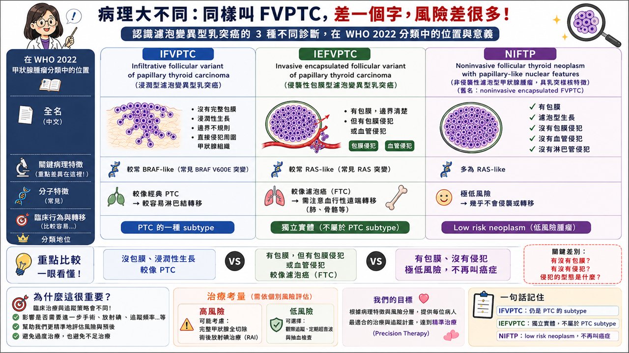 三欄對照圖，比較名稱相近的三種濾泡型甲狀腺病變 IFVPTC、IEFVPTC 與 NIFTP，說明各自在 WHO 2022 分類中的位置、關鍵病理特徵與分期地位。內容與本文段落相同