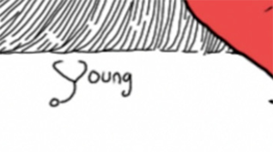 論文插圖左下角的手寫簽名特寫：寫著 Young，第一個字母 Y 的筆畫被畫成聽診器的形狀
