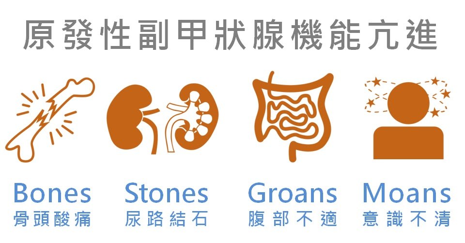 資訊圖，用 Bones、Stones、Groans、Moans 四個英文字對應原發性副甲狀腺機能亢進的四類表現：骨頭痠痛、尿路結石、腹部不適、意識不清