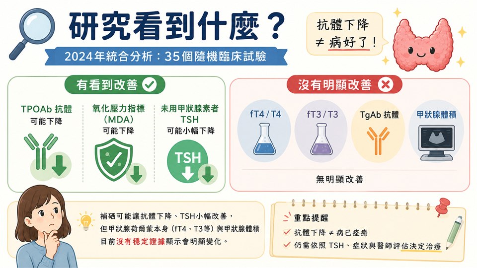 資訊圖，整理 2024 年 35 個隨機臨床試驗的統合分析結果：左側是有看到改善的 TPOAb 抗體、氧化壓力指標 MDA 與未用甲狀腺素者的 TSH，右側是沒有明顯改善的 fT4／T4、fT3／T3、TgAb 與甲狀腺體積。內容與本文段落相同